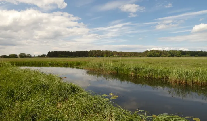 Działka budowlana Stepniczka, ul. Barnima II