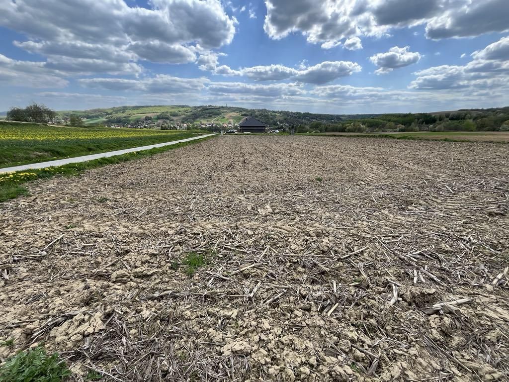 Działka budowlana Pruchnik Pruchnik Dolny, ul. Spacerowa. Zdjęcie 2