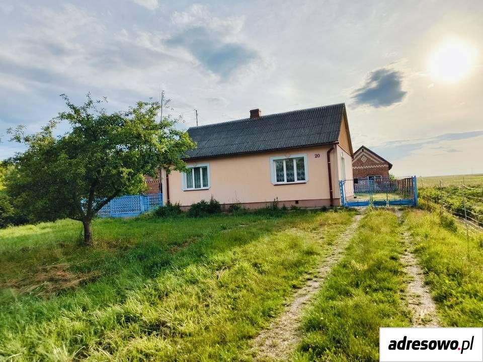 siedlisko Borkowizna. Zdjęcie 2
