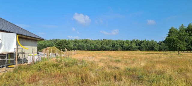 Działka budowlana Kostrzyn nad Odrą. Zdjęcie 1