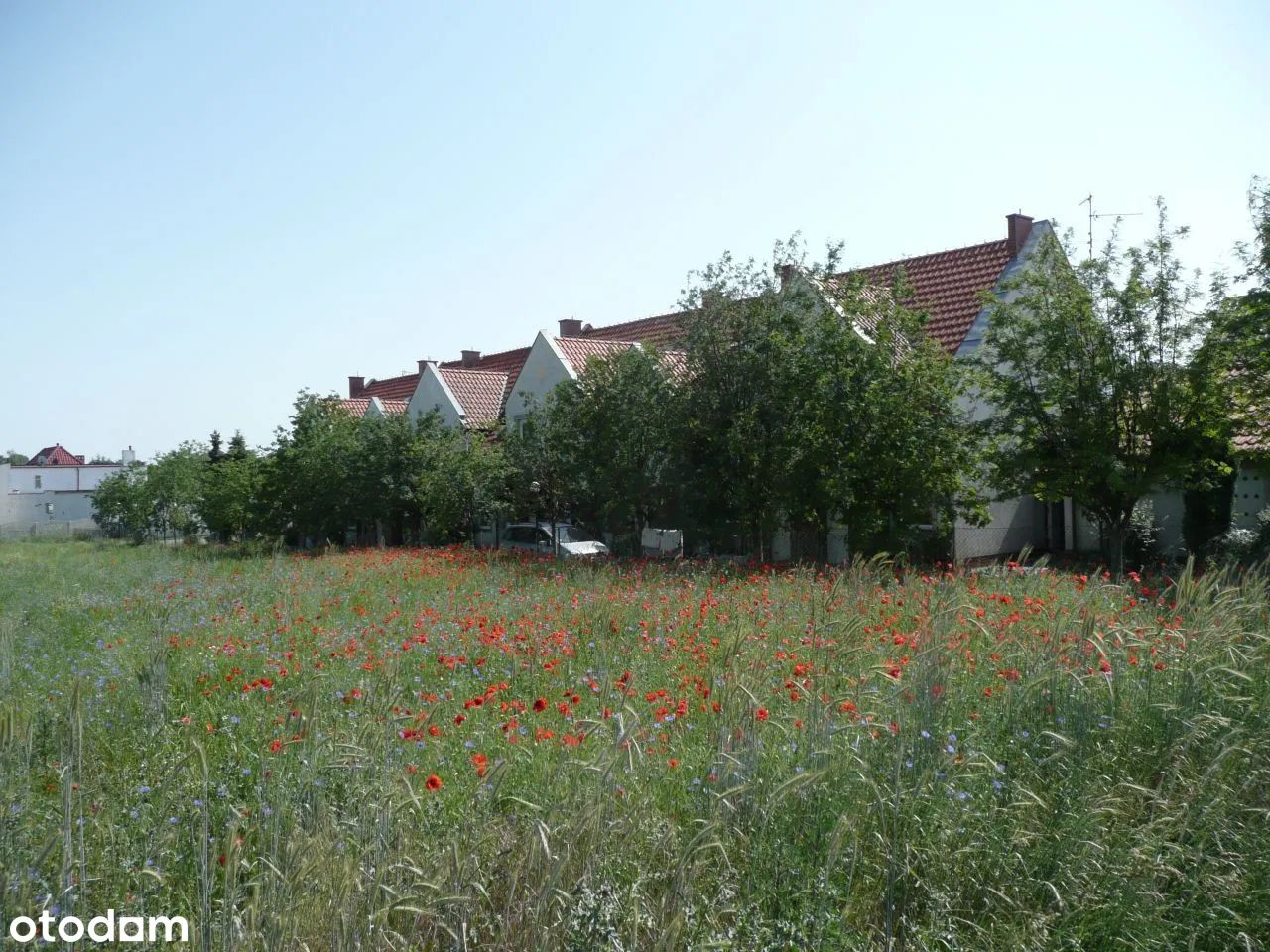 dom szeregowy, 4 pokoje Gruszczyn, ul. Katarzyńska. Zdjęcie 2