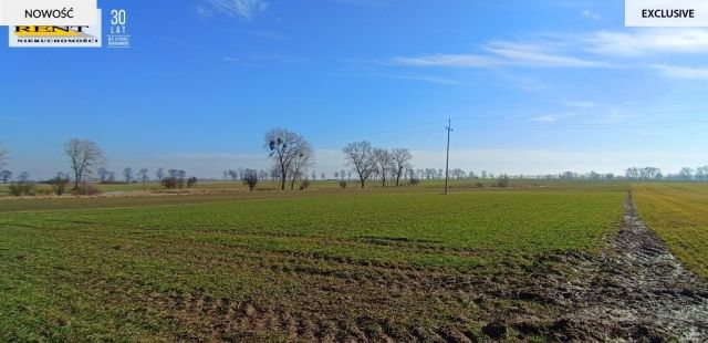 Działka siedliskowa Parsów. Zdjęcie 5