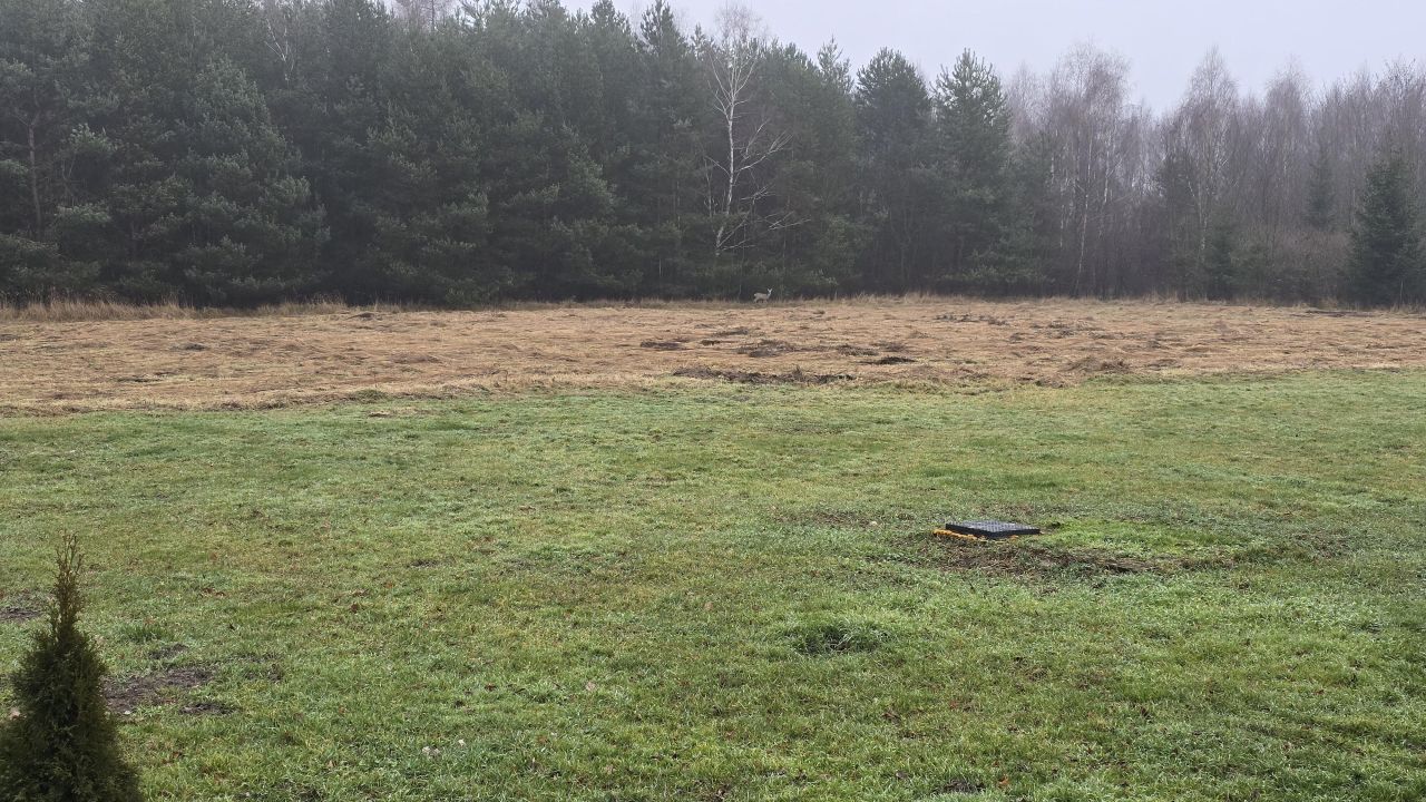 Działka rolno-budowlana Kolonia Piaski, Kolonia piaski 70. Zdjęcie 2