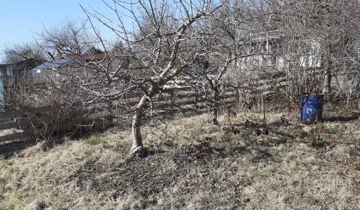 Działka rod Koszalin Północ, ul. Władysława IV