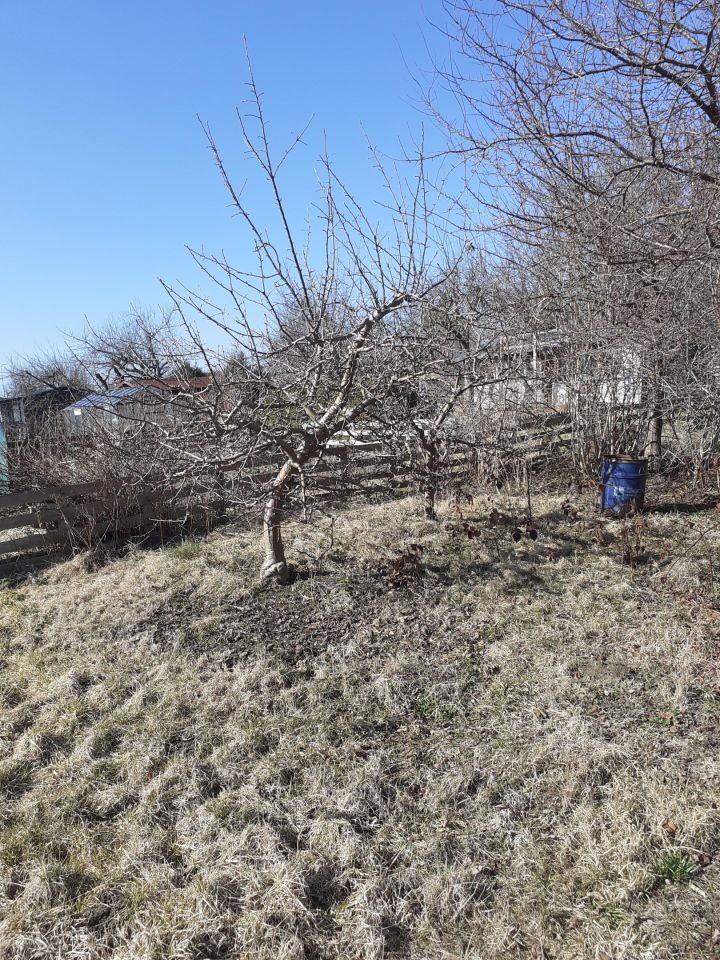 Działka rod Koszalin Północ, ul. Władysława IV. Zdjęcie 1