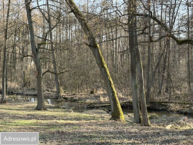 Działka budowlana Przykory. Zdjęcie 8