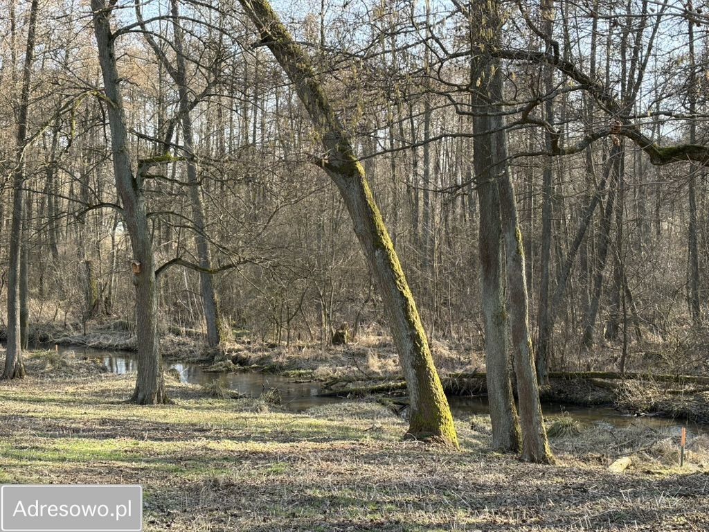 Działka budowlana Przykory. Zdjęcie 7