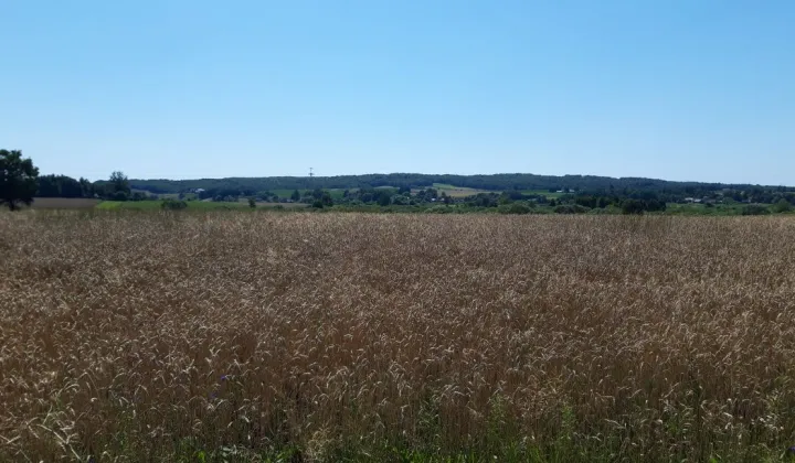 Działka Sulmice