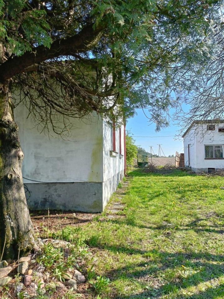 dom wolnostojący Struża-Kolonia. Zdjęcie 6