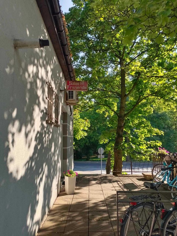 Lokal Międzybórz, ul. Rynek. Zdjęcie 6