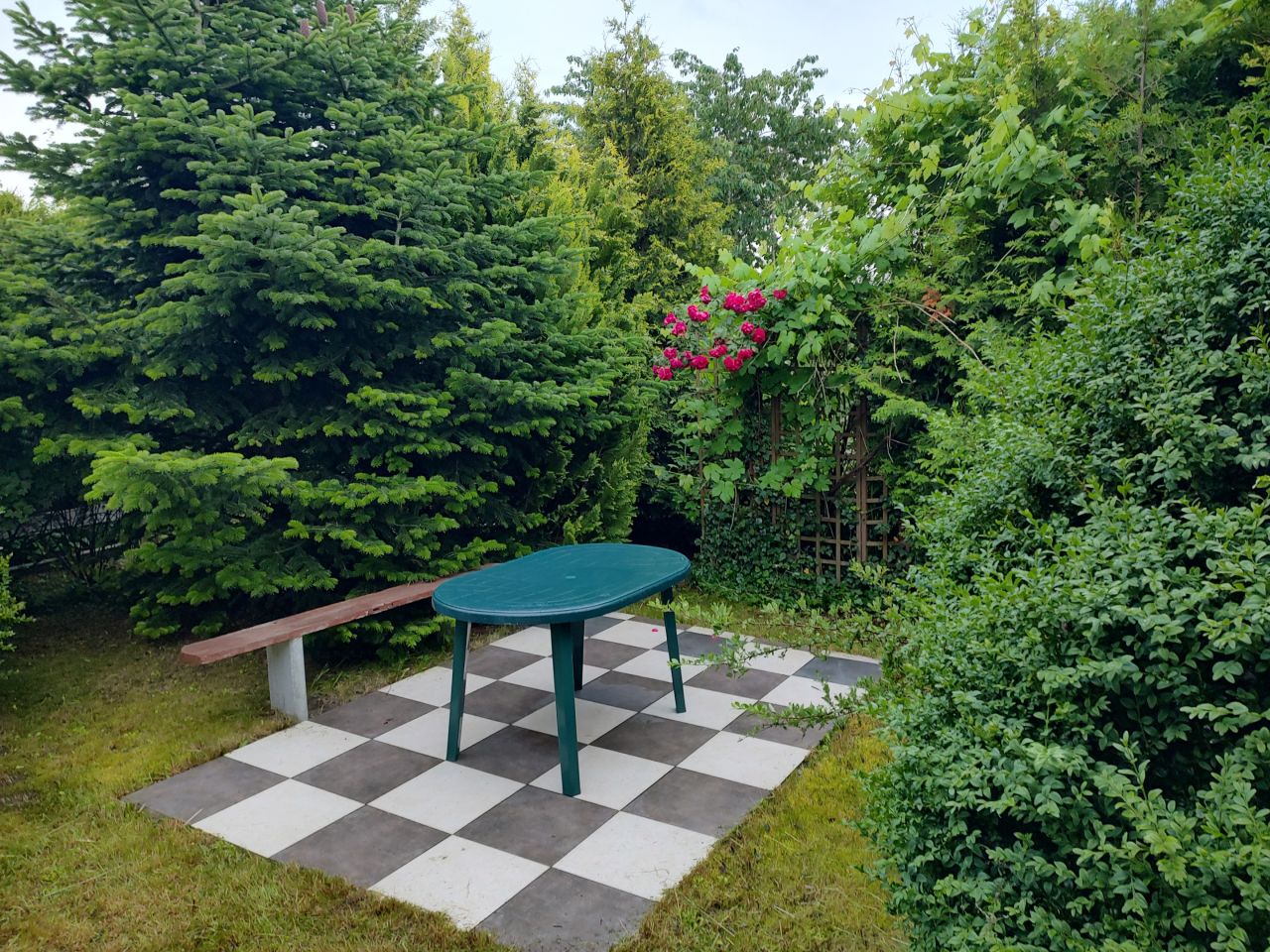 Działka rod Mielno, ul. Ogrodowa. Zdjęcie 7