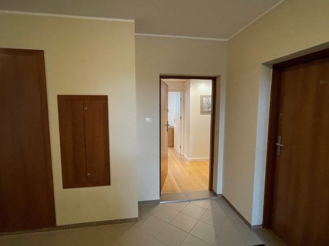 Mieszkanie 2-pokojowe Poznań Winogrady, ul. Naramowicka. Zdjęcie 4