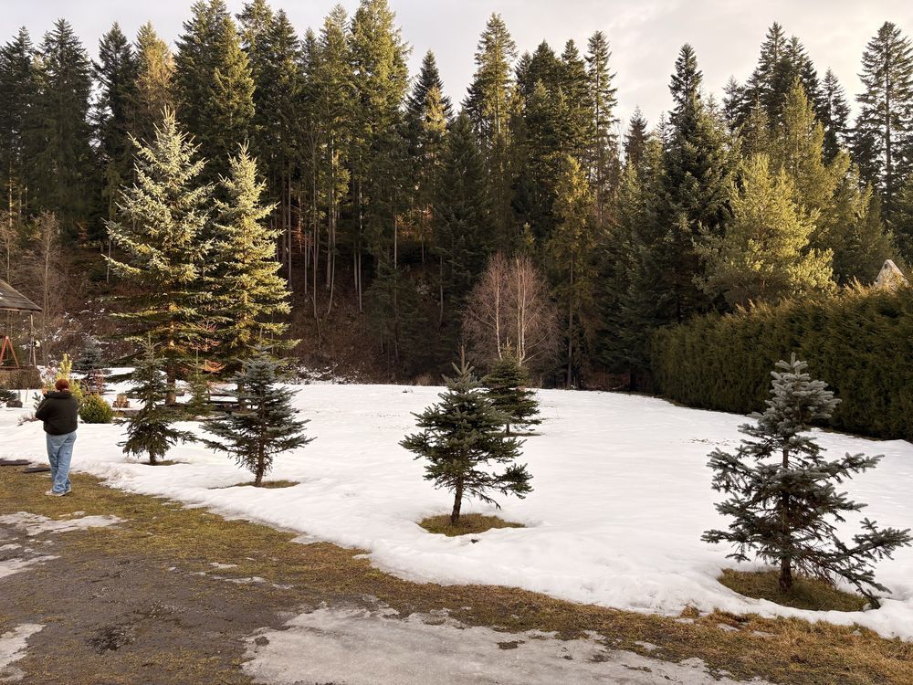 dom wolnostojący Złatna. Zdjęcie 2