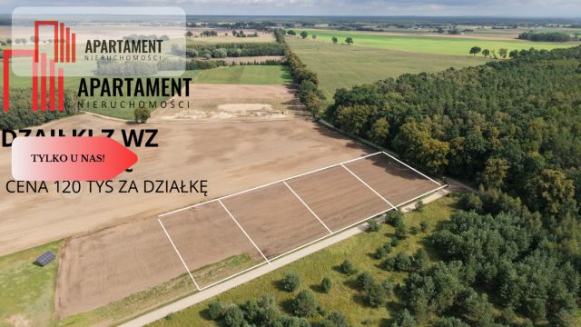 Działka rolna Grabowiec. Zdjęcie 1