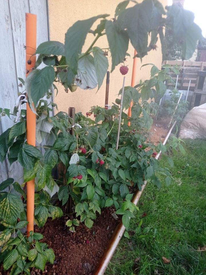 Działka rekreacyjna Lubliniec. Zdjęcie 6