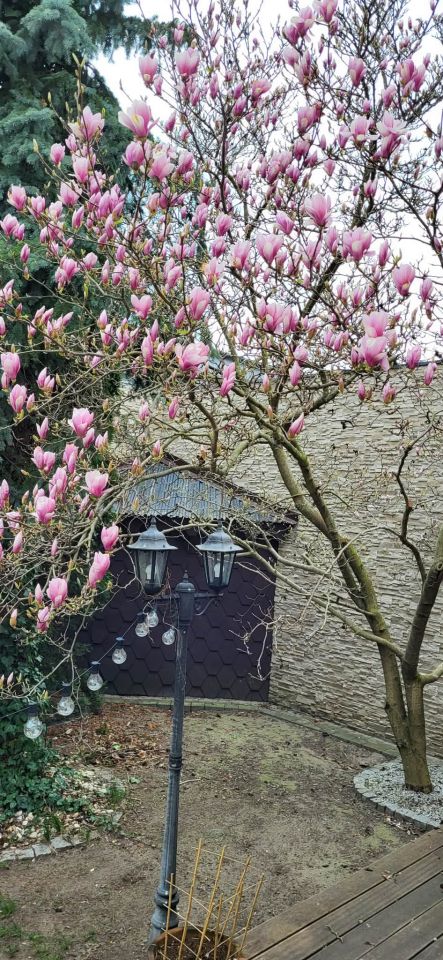 bliźniak, 5 pokoi Swarzędz, ul. Pawia. Zdjęcie 23