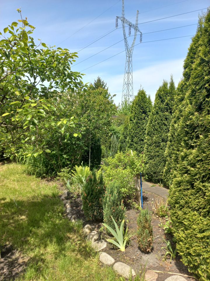 Działka rod Warszawa Targówek, Janowiecka 77. Zdjęcie 4