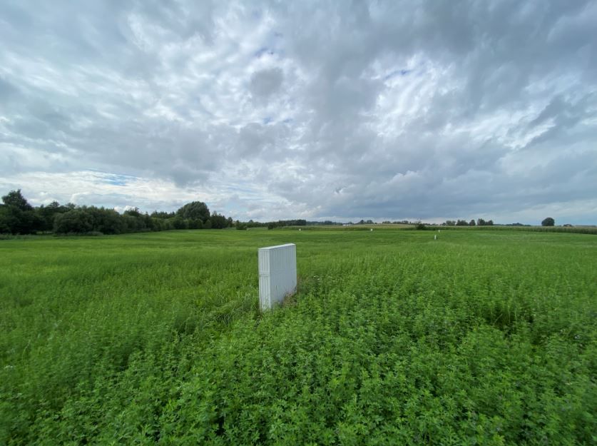 Działka rekreacyjna Dreństwo. Zdjęcie 3