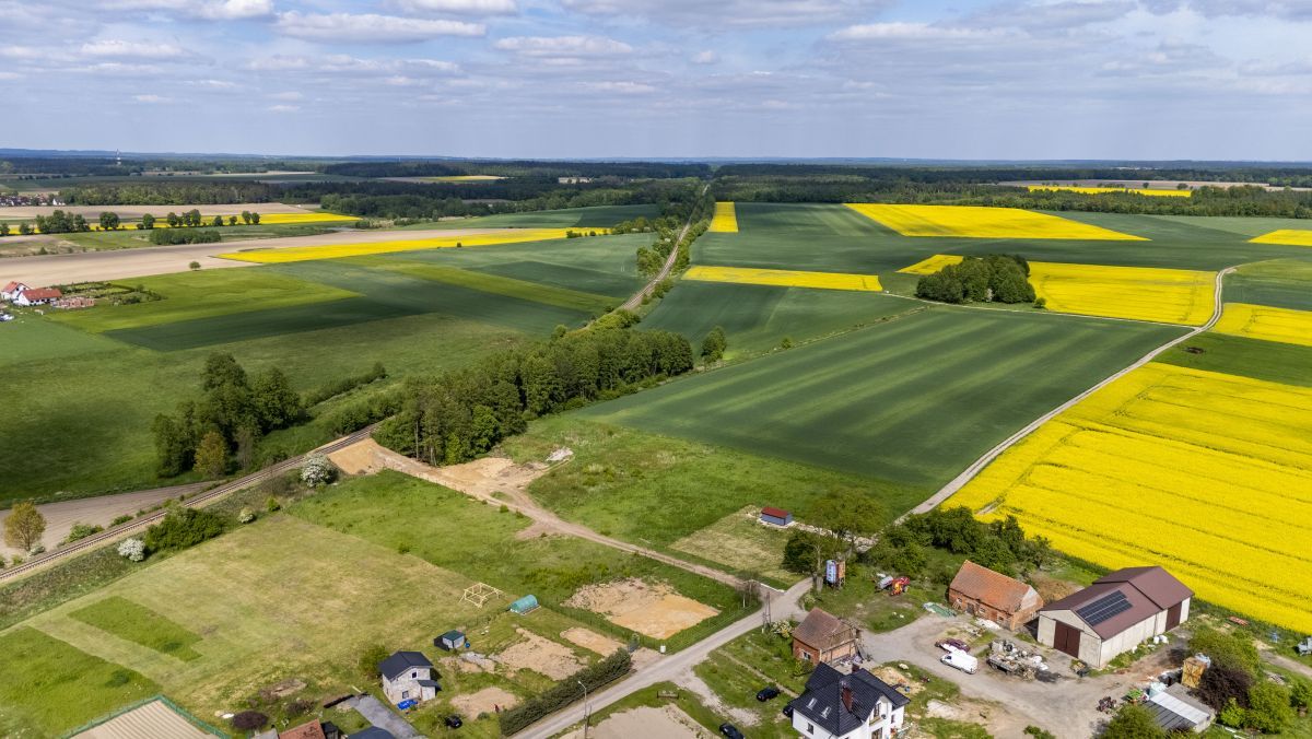 Działka inwestycyjna Poniatowice. Zdjęcie 11