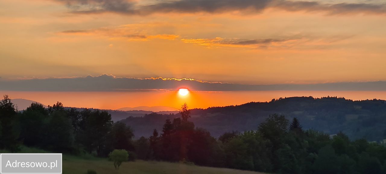 dom wolnostojący, 6 pokoi Krzyżówki. Zdjęcie 14