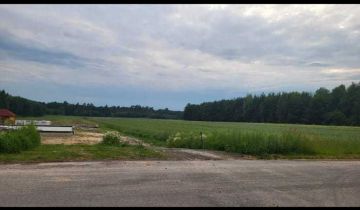 Działka rolno-budowlana Sabaudia