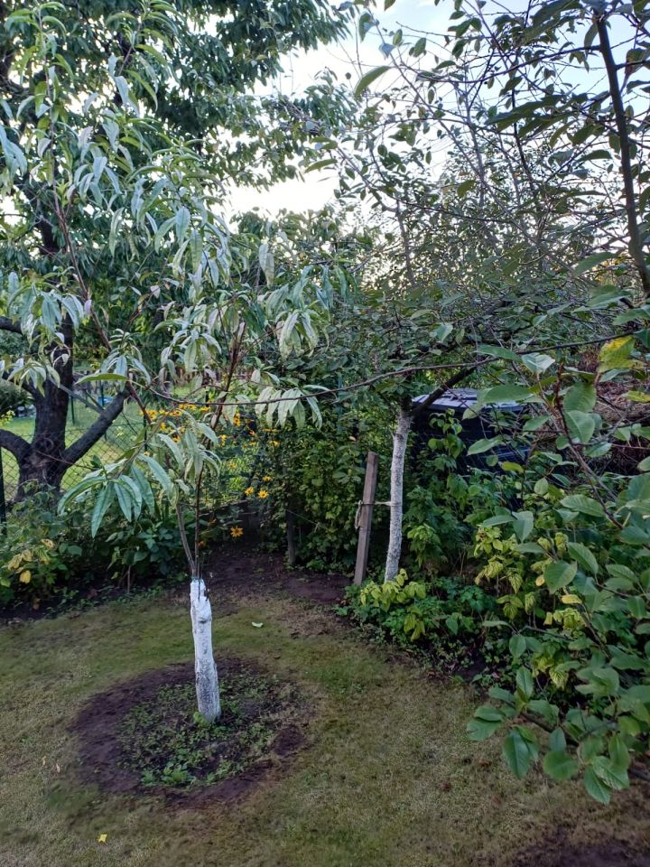 Działka rod Kwidzyn, ul. Furmańska. Zdjęcie 11