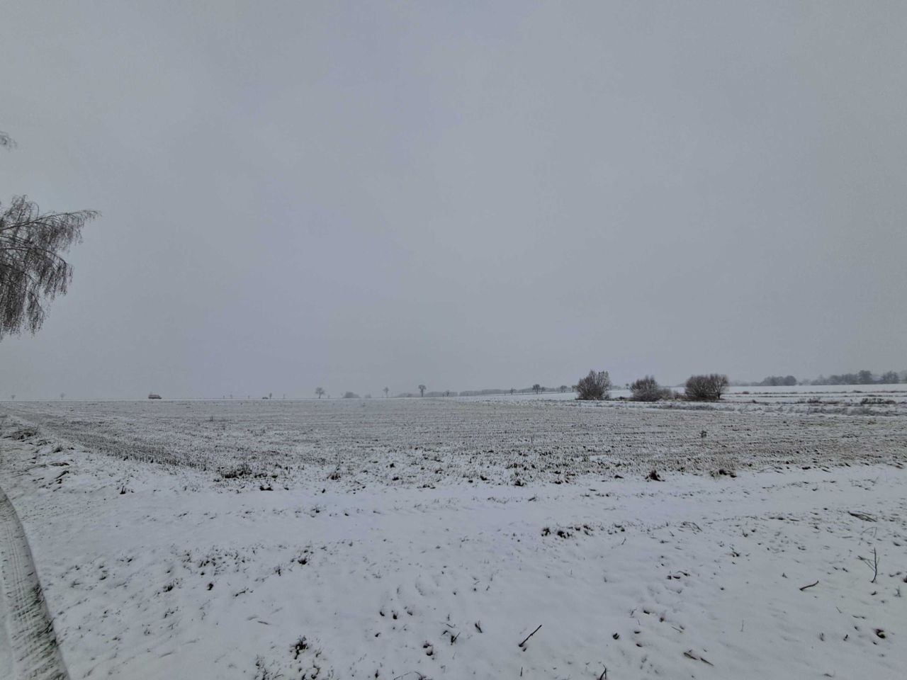 Działka inwestycyjna Nowa Wieś Książęca. Zdjęcie 2