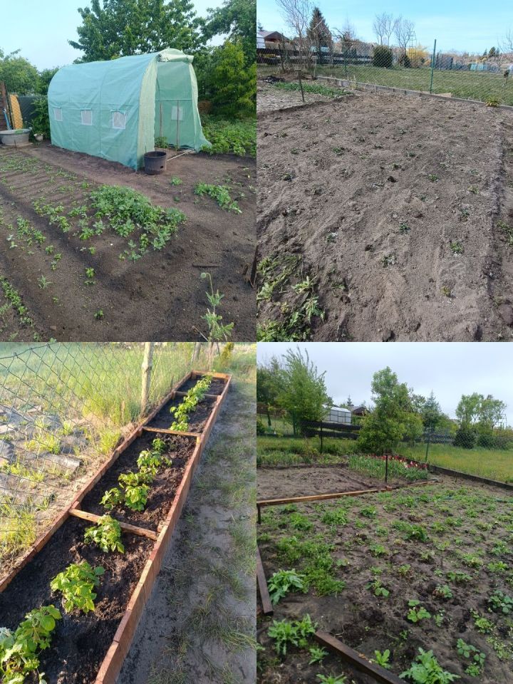 Działka rod Sławno. Zdjęcie 7