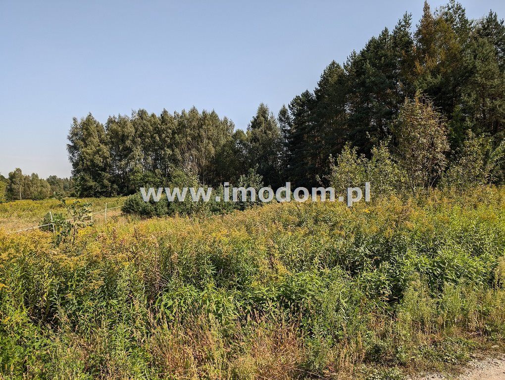 Działka rolna Ozorowice. Zdjęcie 4