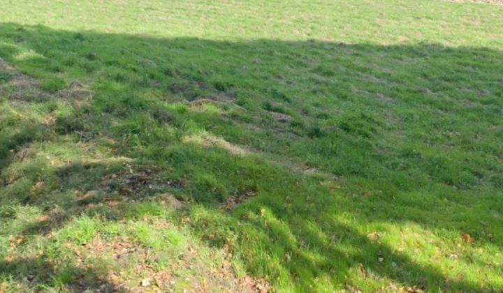 Działka rolno-budowlana Strzyżów, ul. Modrzewiowa