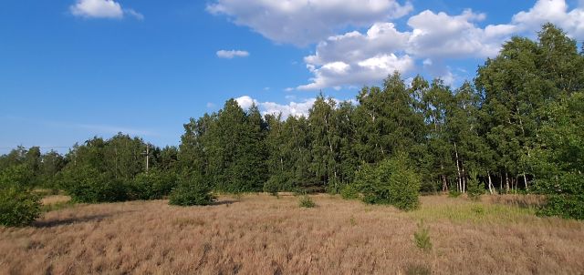 Działka budowlana Dębniaki. Zdjęcie 2