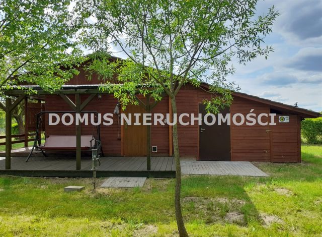 Działka rolna Królewo. Zdjęcie 6