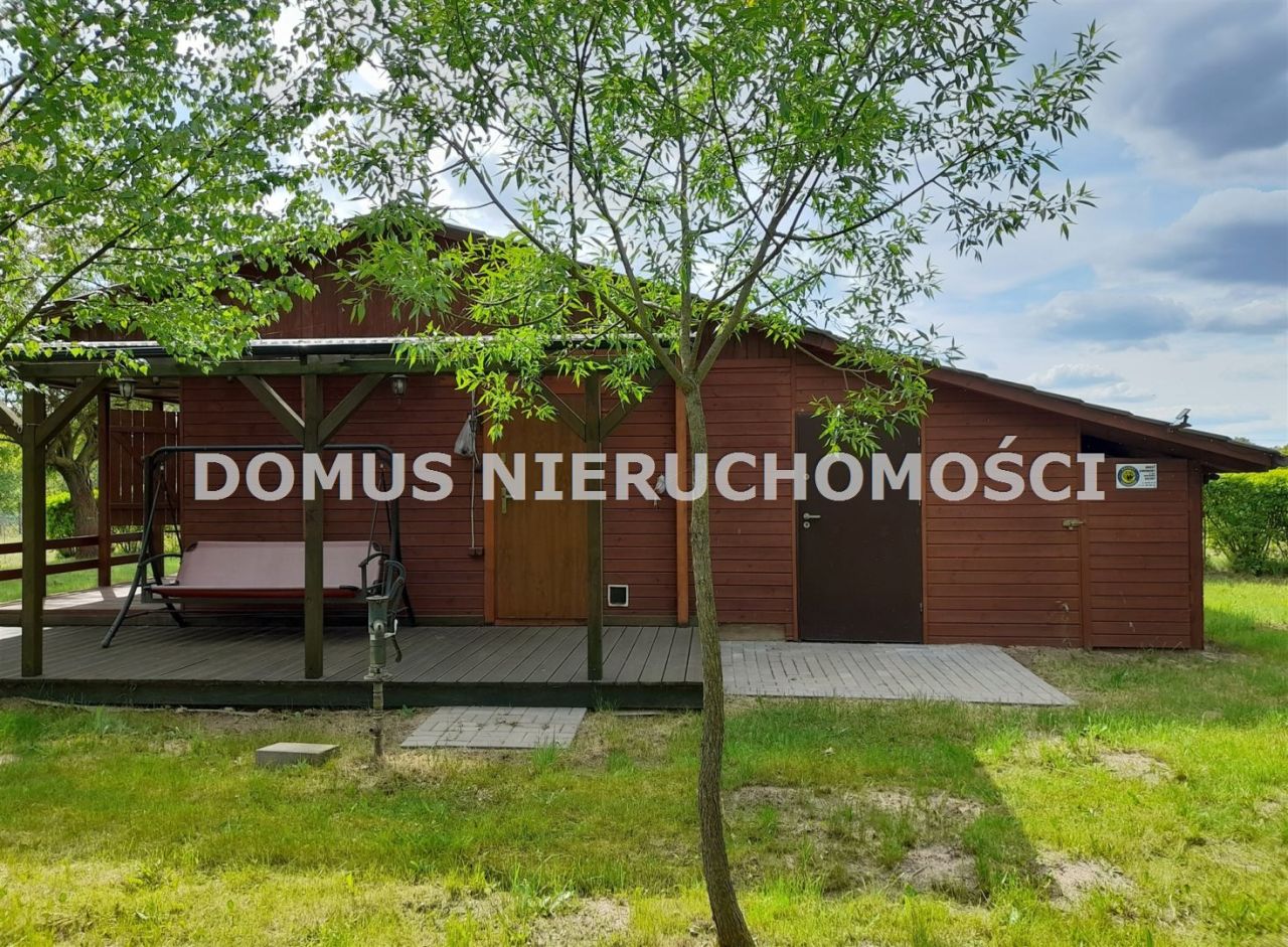 Działka rolna Królewo. Zdjęcie 6