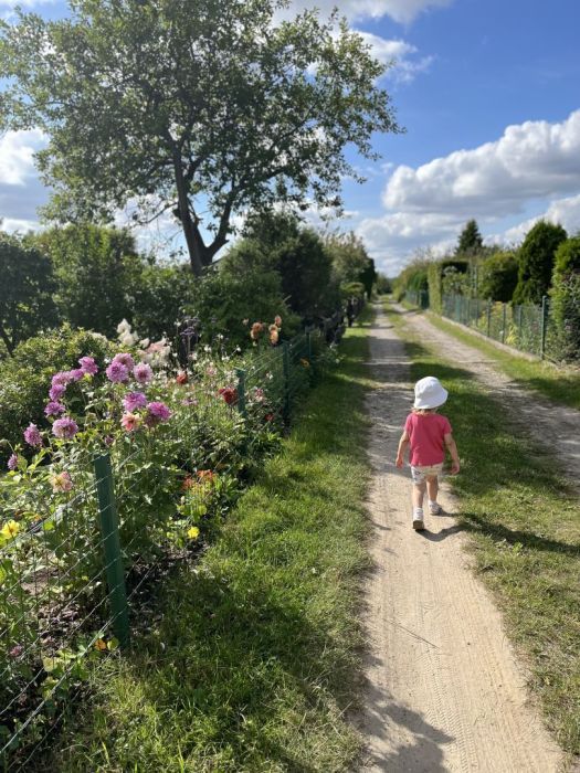 Działka rod Gdańsk. Zdjęcie 23