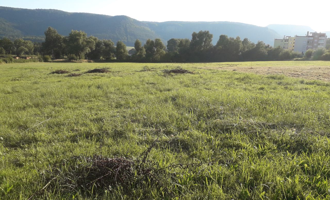 Działka budowlana Radków, ul. Piastowska. Zdjęcie 2