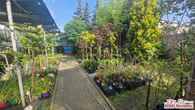 Lokal Włocławek Centrum. Zdjęcie 21