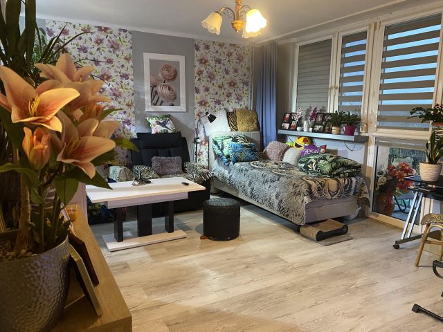 Mieszkanie 1-pokojowe Kędzierzyn-Koźle, ul. Kosmonautów. Zdjęcie 1