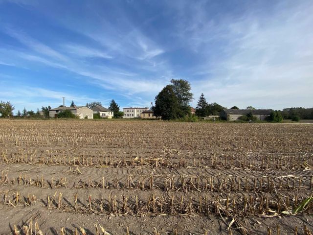 Działka budowlana Krajkowo. Zdjęcie 1