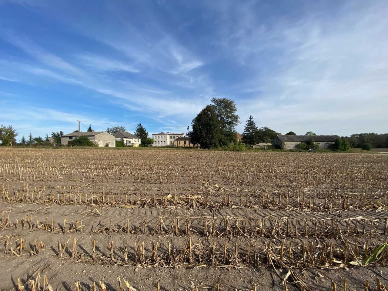 Działka budowlana Krajkowo. Zdjęcie 1