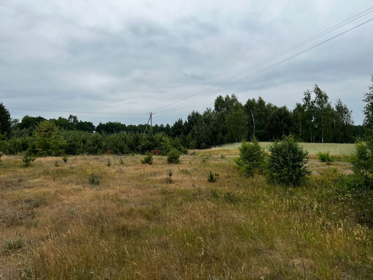 Działka budowlana Łąkie, Łąkie. Zdjęcie 13