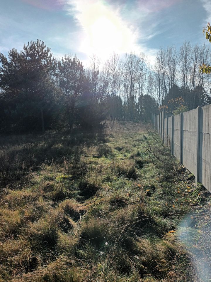 Działka budowlana Czosnówka, ul. Olchowa. Zdjęcie 7