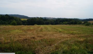 Działka rolno-budowlana Będkowice