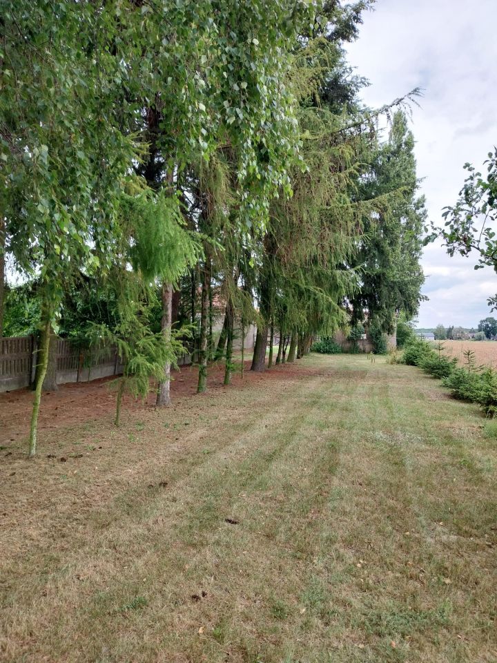 dom wolnostojący, 2 pokoje Kozolin. Zdjęcie 20