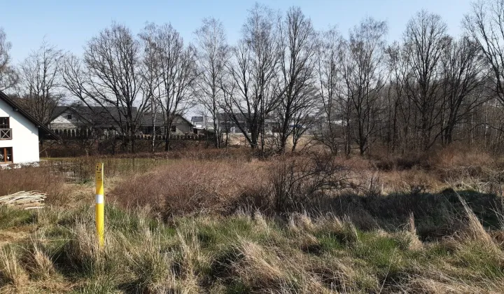 Działka budowlana Bąkowo, ul. Wieczornych Mgieł