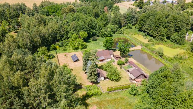 Działka siedliskowa Tarło. Zdjęcie 7