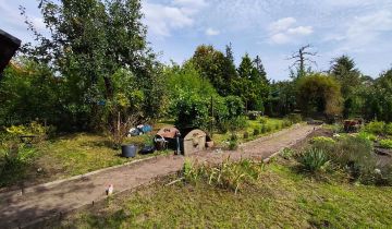 Działka rod Zielona Góra, ul. Andrzeja Struga