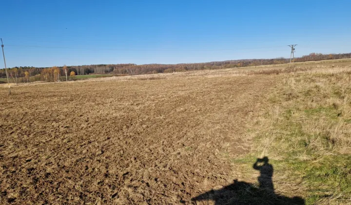 Działka rolna Mirsk, ul. Podkolejowa