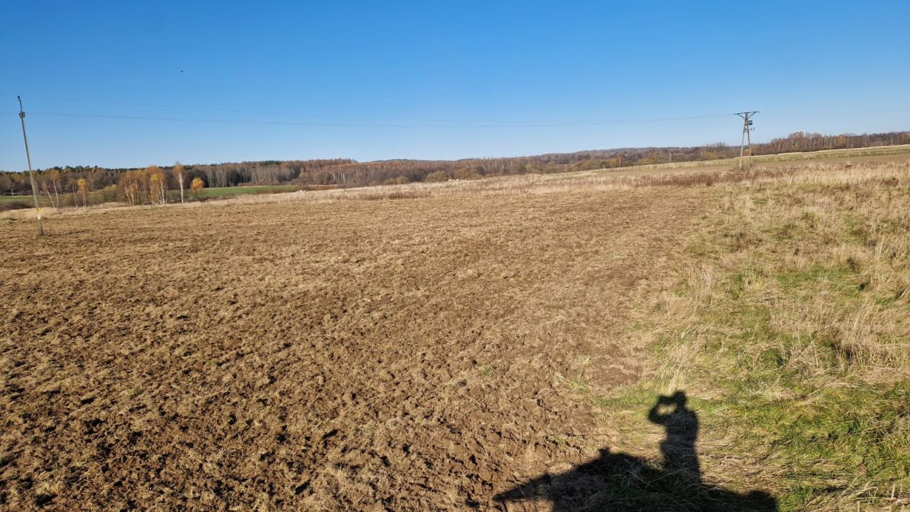 Działka rolna Mirsk, ul. Podkolejowa. Zdjęcie 1