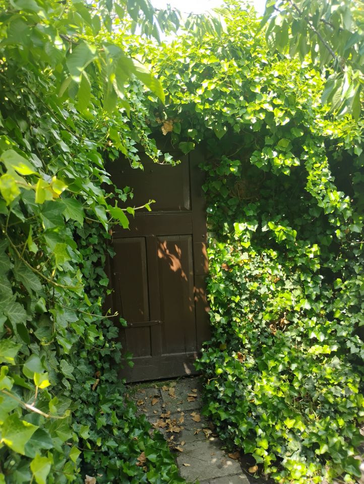 Działka rod Ostrów Wielkopolski, ul. Kaliska. Zdjęcie 13