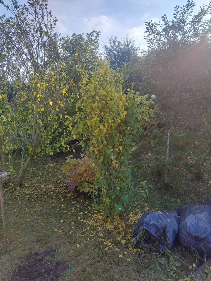Działka rod Częstochowa Ostatni Grosz. Zdjęcie 7